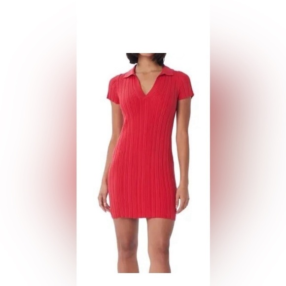 Dresses & Skirts - New Lita by Ciara tomato red ribbed polo dress